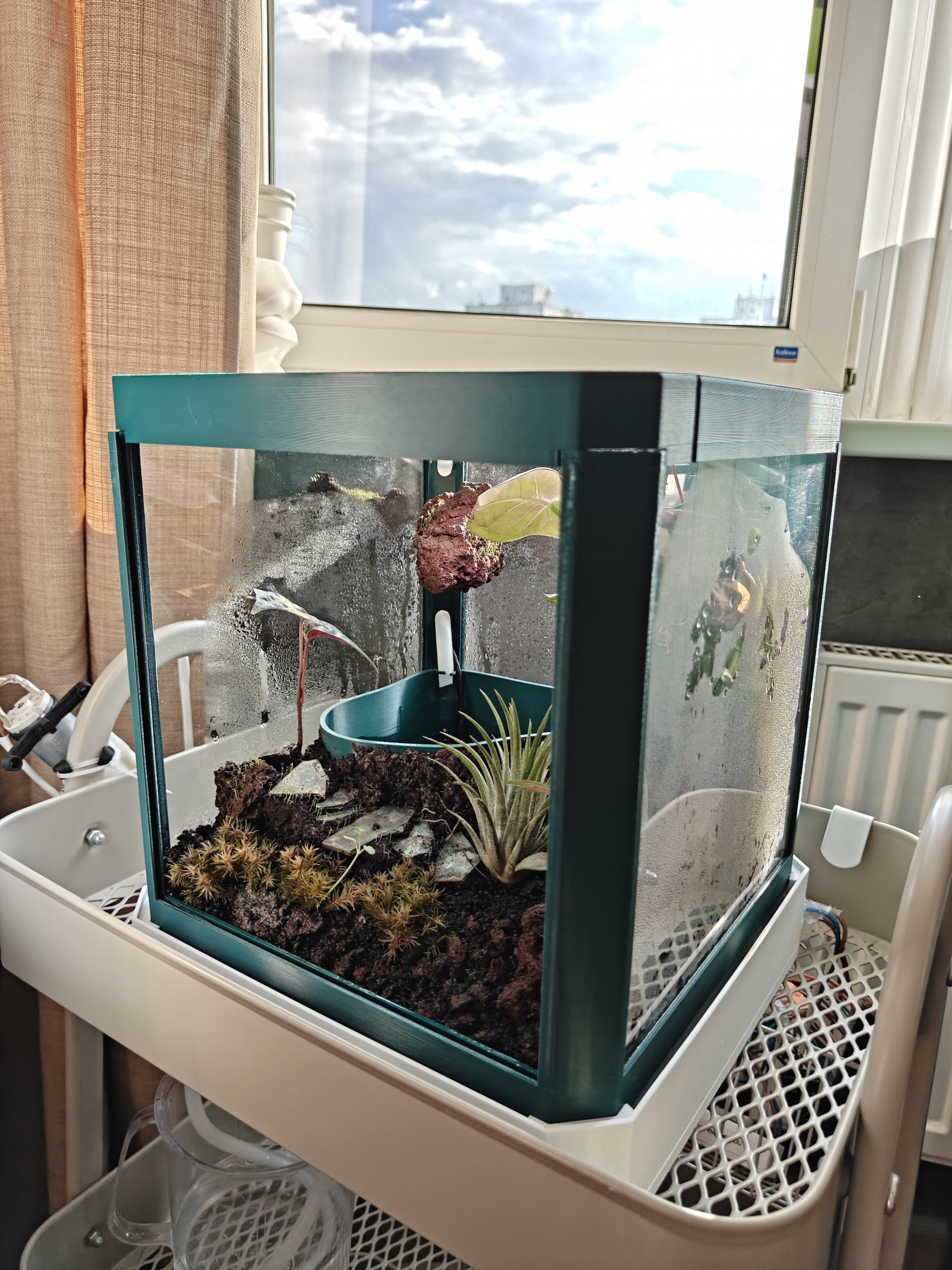 Умный флорариум на esp32 или как я поверила в себя (осторожно, много фото) - 10